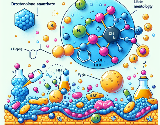 Drostanolone enantato e la sua azione sul metabolismo lipidico